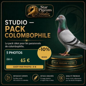 Pack colombophile de Star-Pigeons Studio : nombre de photos, prix et coût par photo