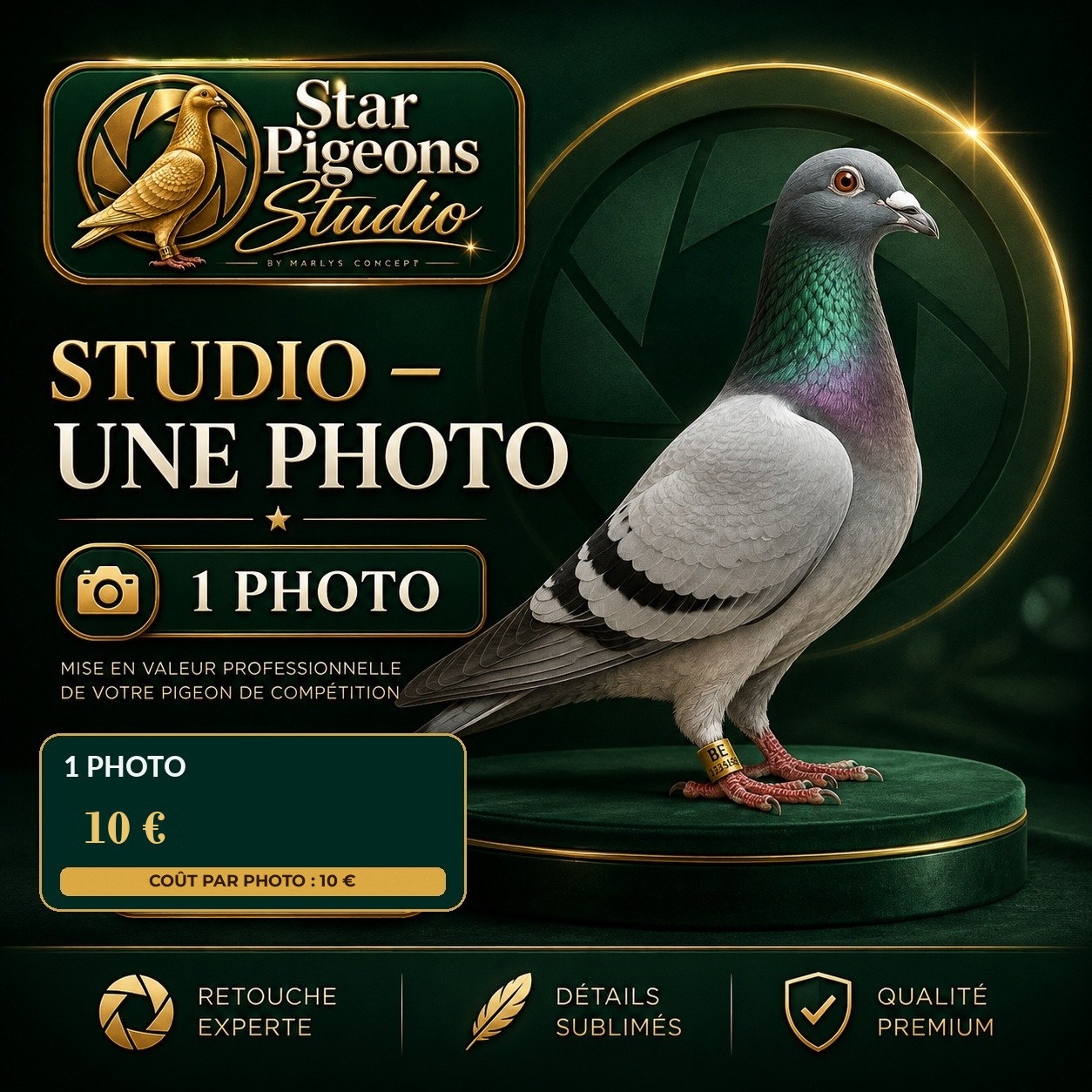 Pack decouverte de Star-Pigeons Studio : nombre de photos, prix et coût par photo