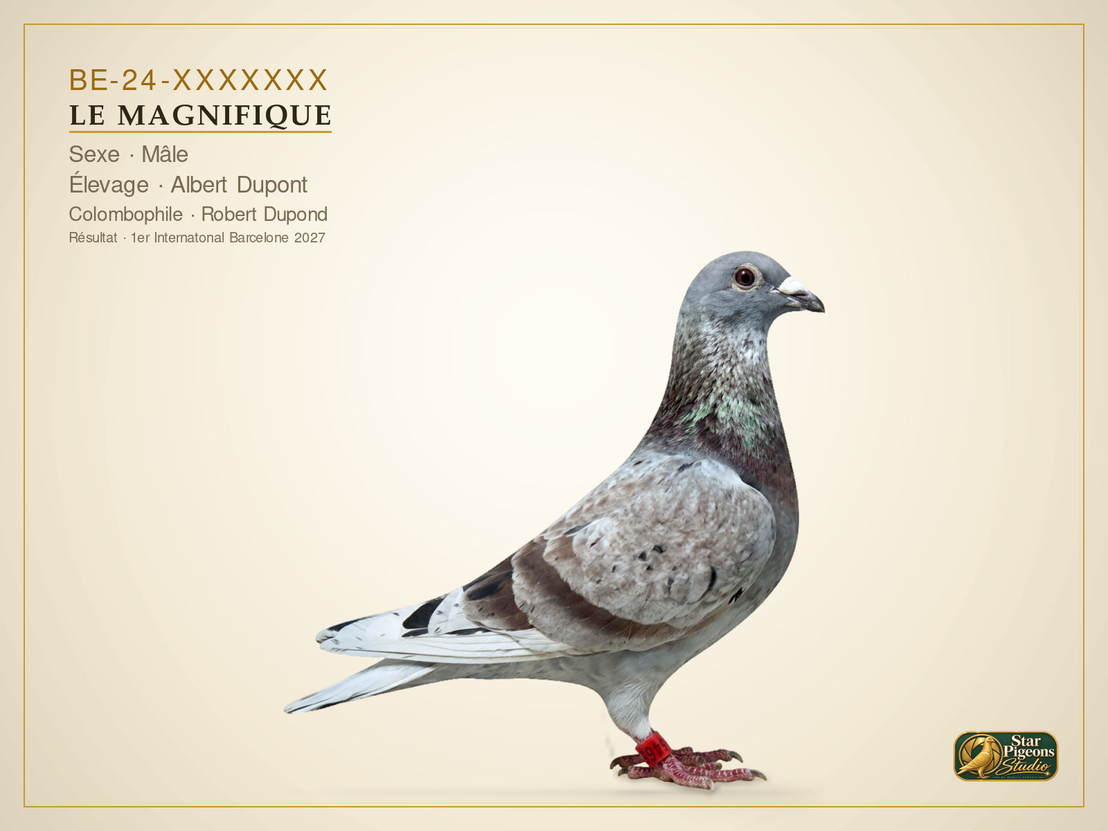 Exemple de photo créée par Star-Pigeons Studio